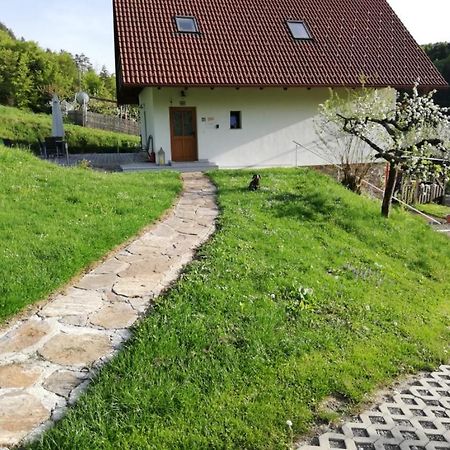 Bioferienhaus Muster - Dominkusch Possnitz Екстериор снимка