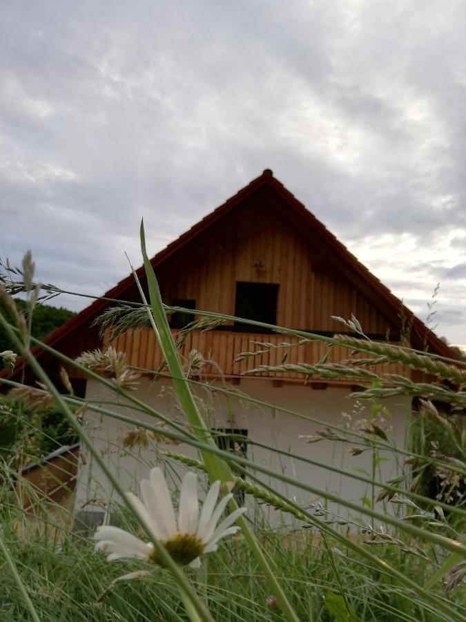 Bioferienhaus Muster - Dominkusch Possnitz Екстериор снимка