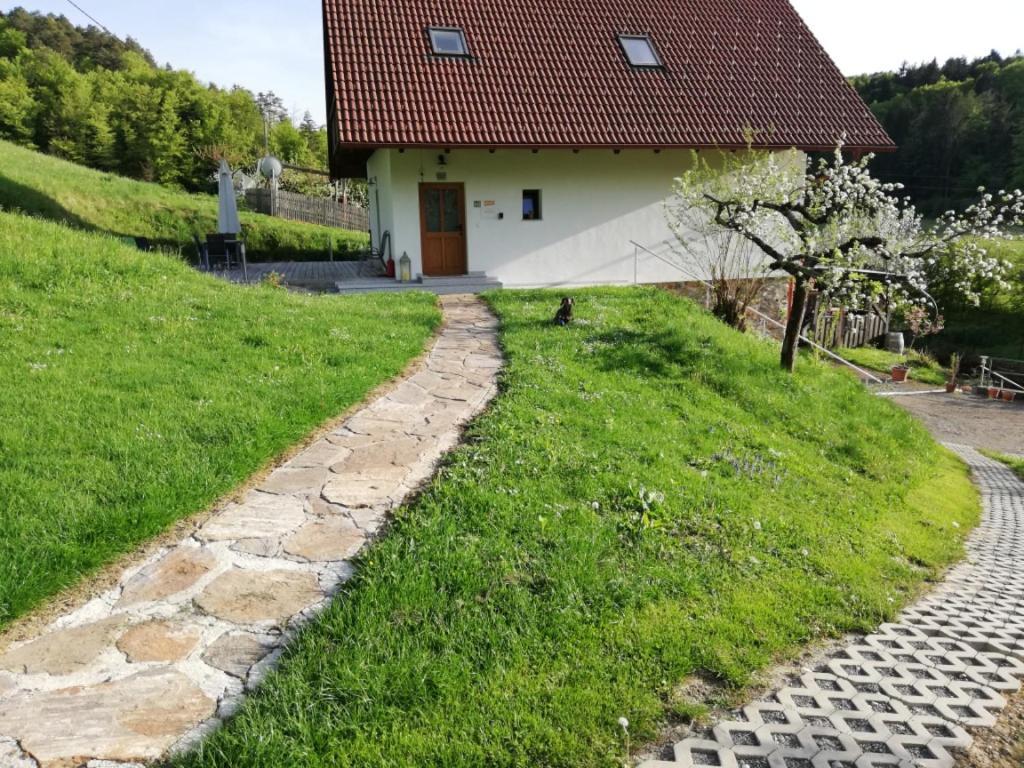 Bioferienhaus Muster - Dominkusch Possnitz Екстериор снимка